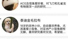 鱼乐圈最新爆料,最新爆料背后的惊人真相